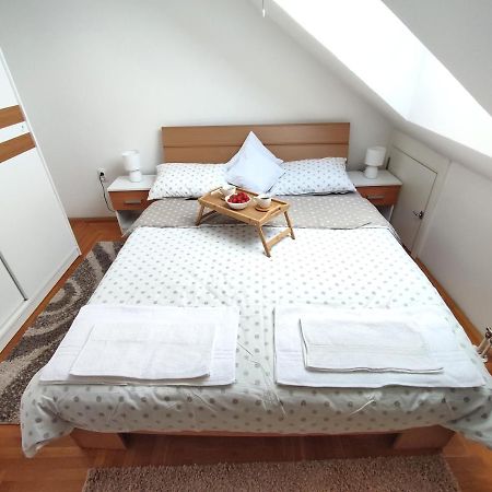 Apartman Ns Dan Private Parking Nowy Sad Zewnętrze zdjęcie