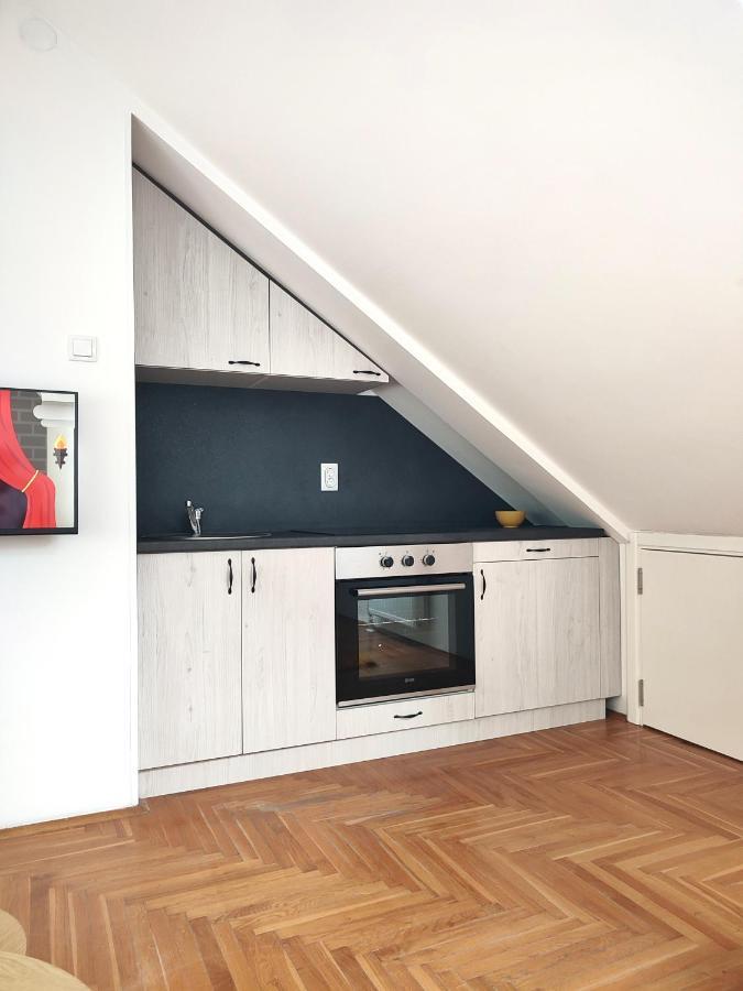 Apartman Ns Dan Private Parking Nowy Sad Zewnętrze zdjęcie
