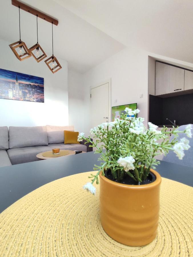 Apartman Ns Dan Private Parking Nowy Sad Zewnętrze zdjęcie