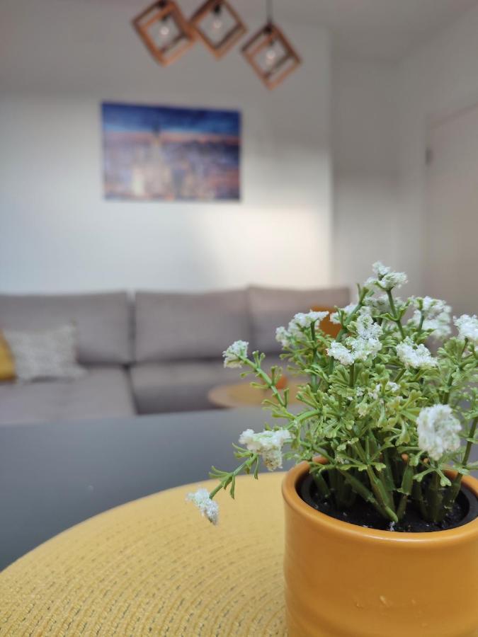 Apartman Ns Dan Private Parking Nowy Sad Zewnętrze zdjęcie